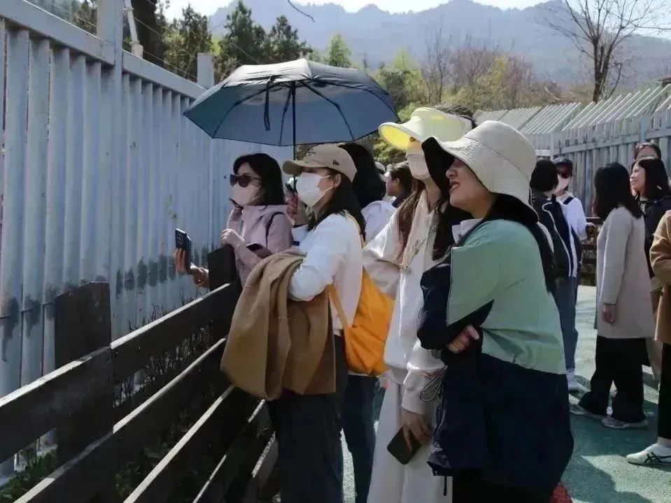 党建动态-天博 天博
