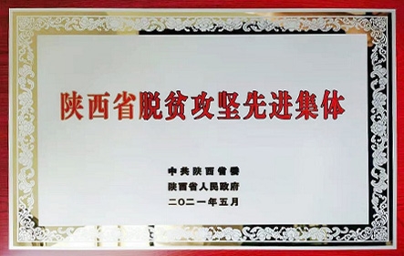 天博·tb(中国)体育有限公司官网